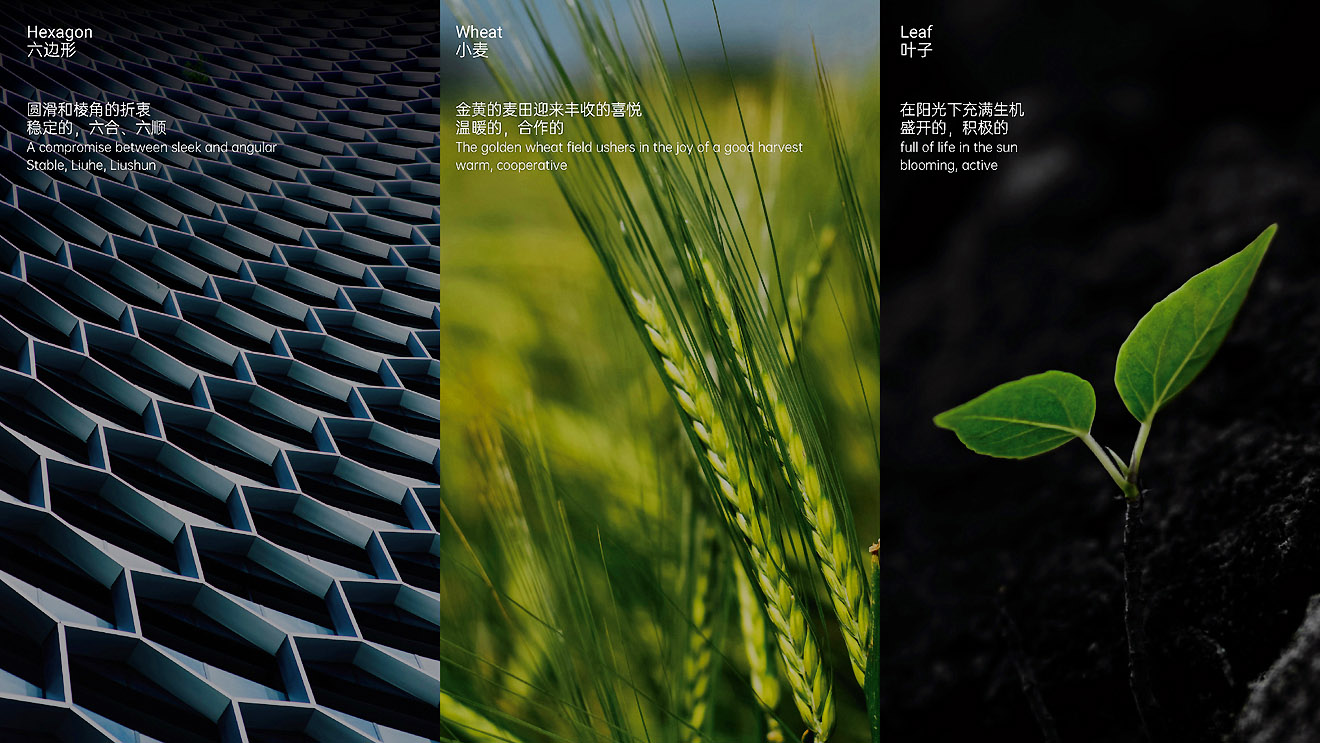 中糧面業（濰坊）公司導視系統設計制作